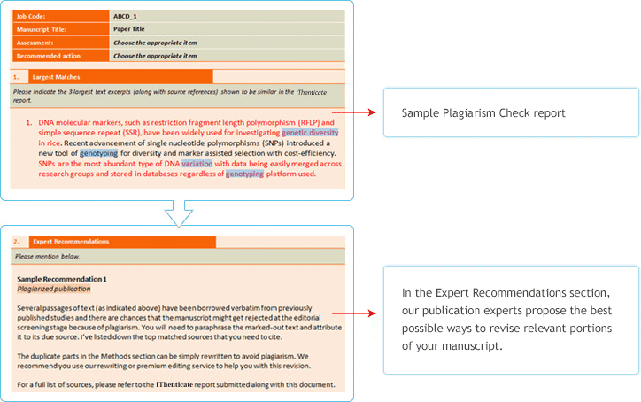 plagiarism checker between two documents